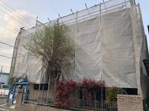 ブログ:今日から4月🌸外壁と屋根のリフォーム工事開始