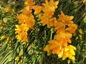 ブログ:今日から4月🌸外壁と屋根のリフォーム工事開始