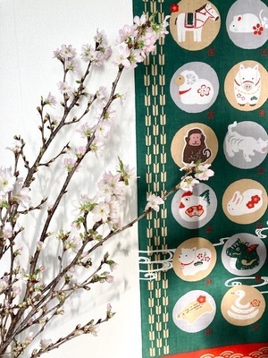 ブログ・・・2023年🌸新春🌸啓翁桜