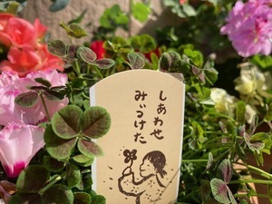 教室から🌸新年度が始まりました