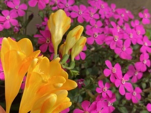 教室から🌸新年度が始まりました