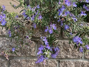 教室から🌸新年度が始まりました