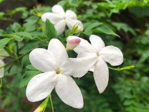 ブログ:🌞残暑お見舞い申し上げます